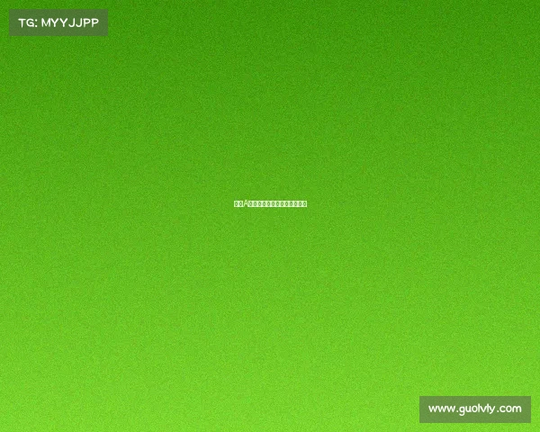 省级A类赛事盛大开赛展现卓越风采